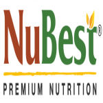 NuBest logo