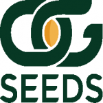 OG Seeds logo